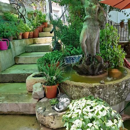 Casa Paco ξενώνας El Bosque Εξωτερικό φωτογραφία