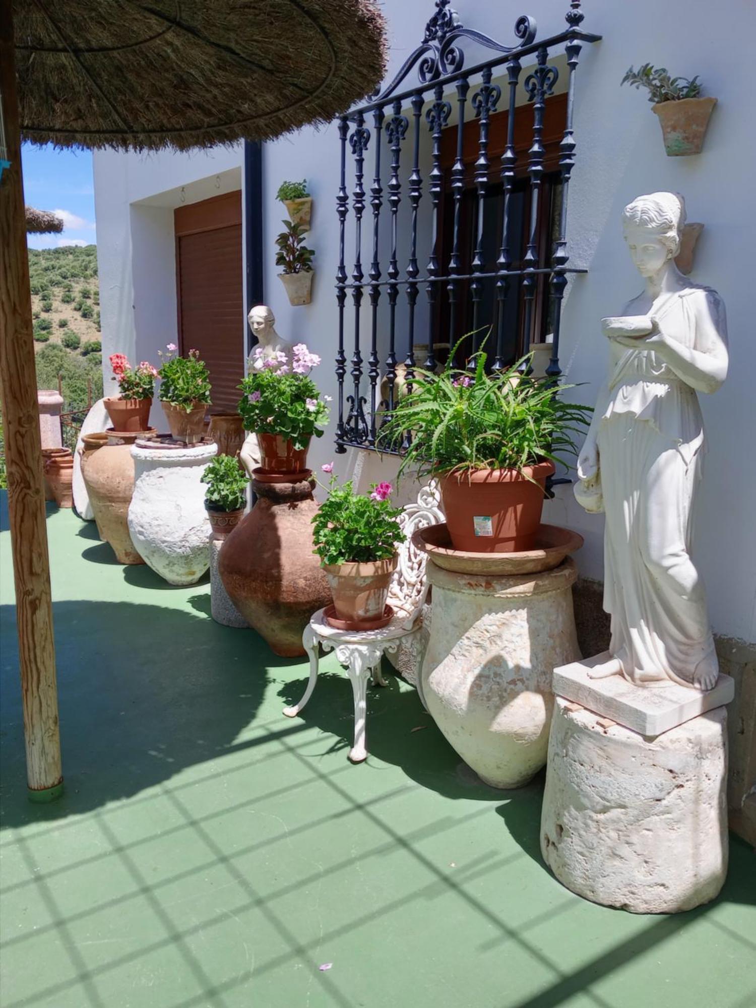 Casa Paco ξενώνας El Bosque Εξωτερικό φωτογραφία