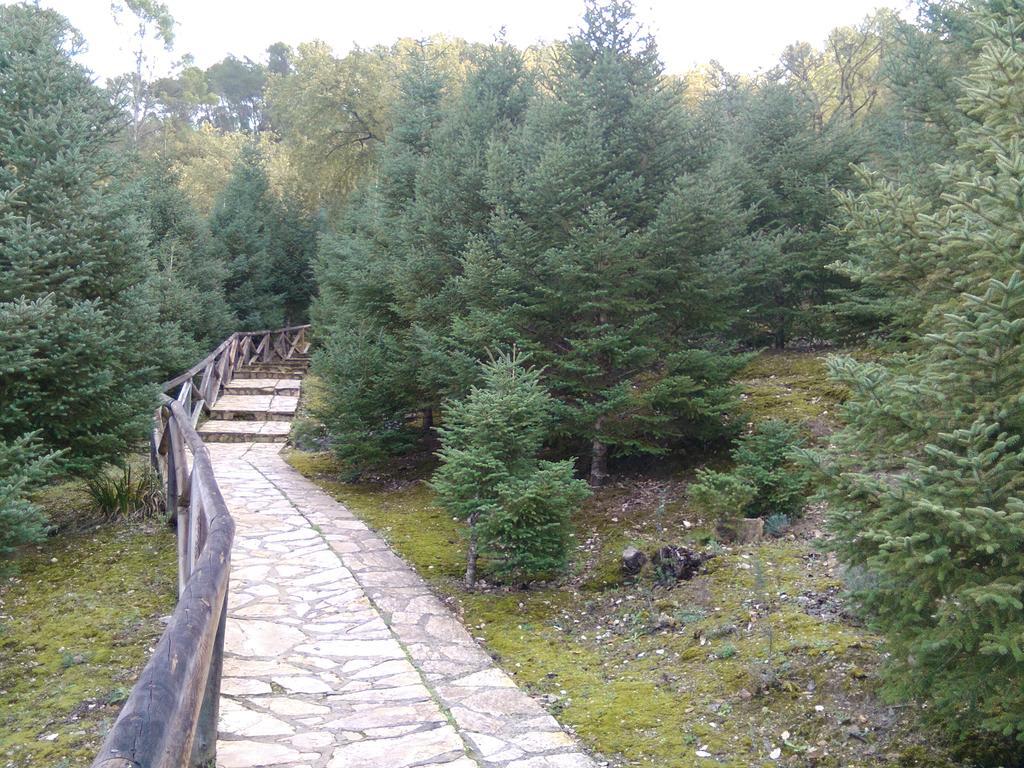 Casa Paco ξενώνας El Bosque Εξωτερικό φωτογραφία